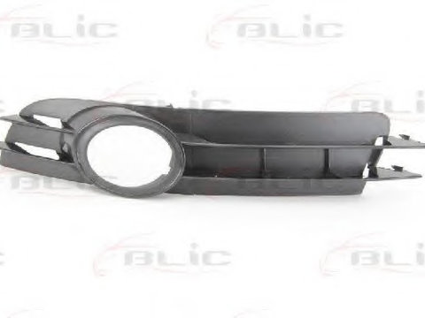 Grila 5703-05-0031995P BLIC pentru Audi A6