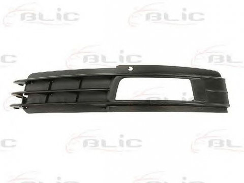 Grila bara AUDI A6 4F2 C6 BLIC 6502070031921P PieseDeTop