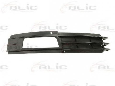 Grila bara AUDI A6 4F2 C6 BLIC 6502070031922P PieseDeTop