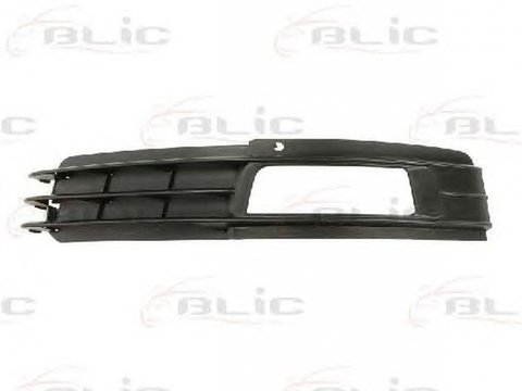 Grila bara AUDI A6 Avant 4F5 C6 BLIC 6502070031921P