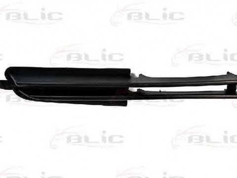 Grila bara BMW 3 Touring E46 BLIC 5513000061925P