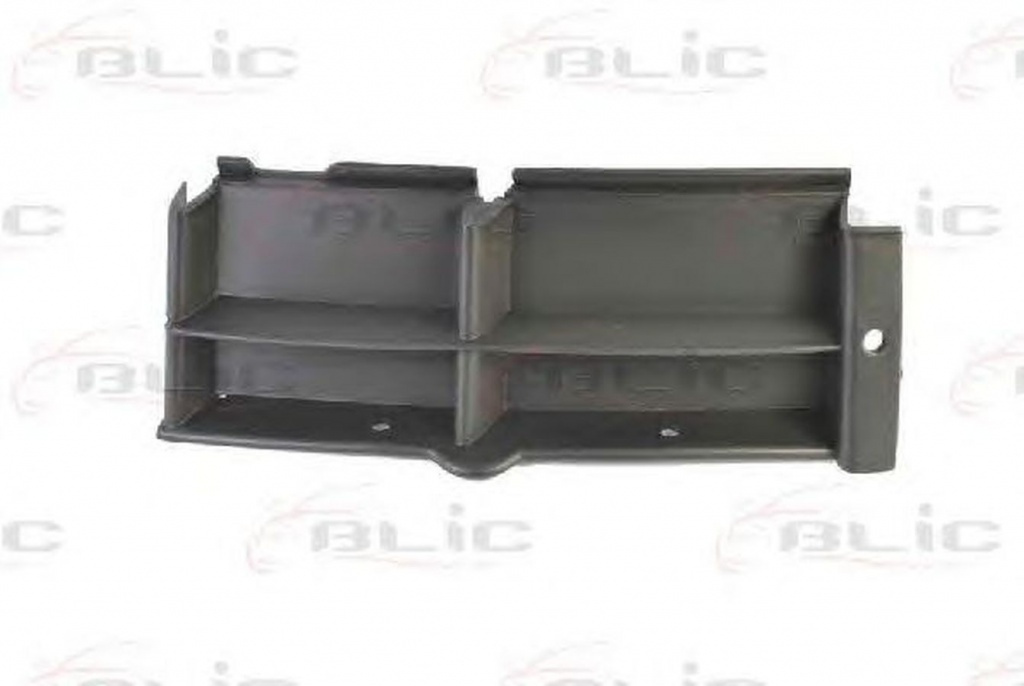 Grila Bara BMW 5 E39 BLIC 6502070065996P