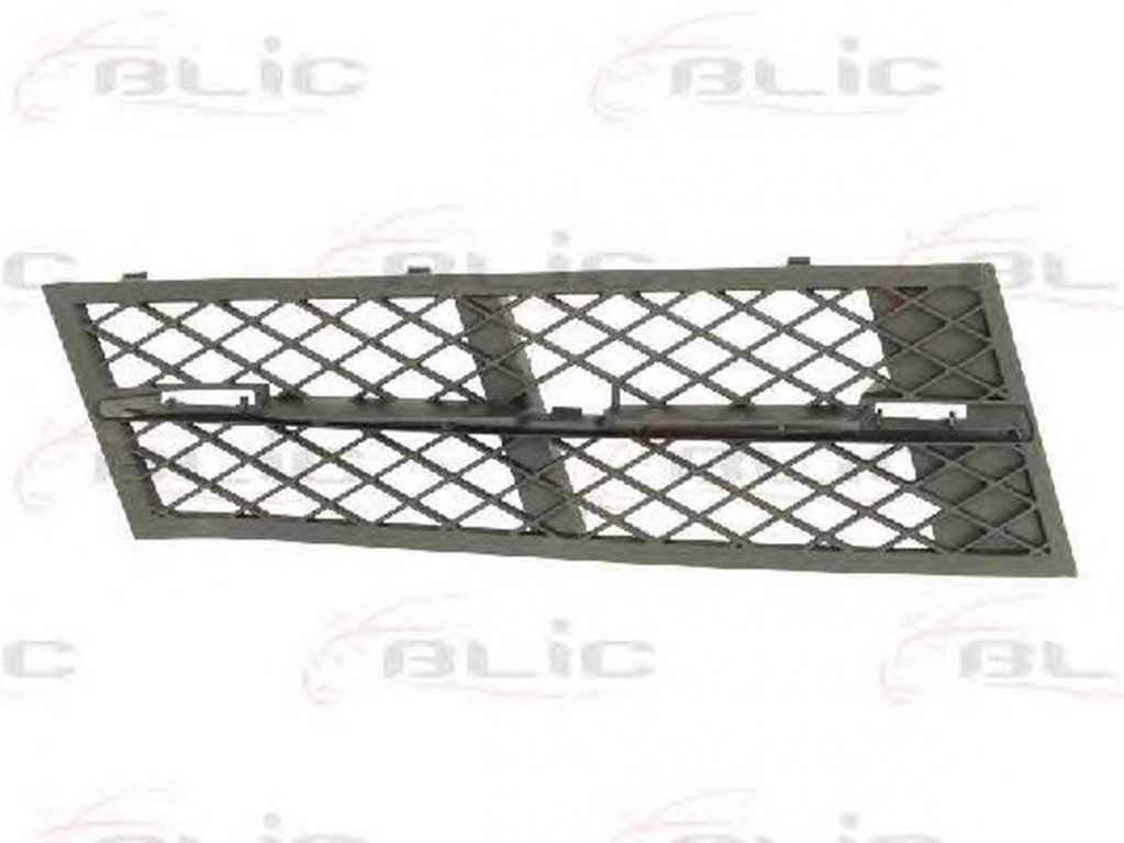 Grila Bara BMW 5 F10 F18 BLIC 6502070067915P
