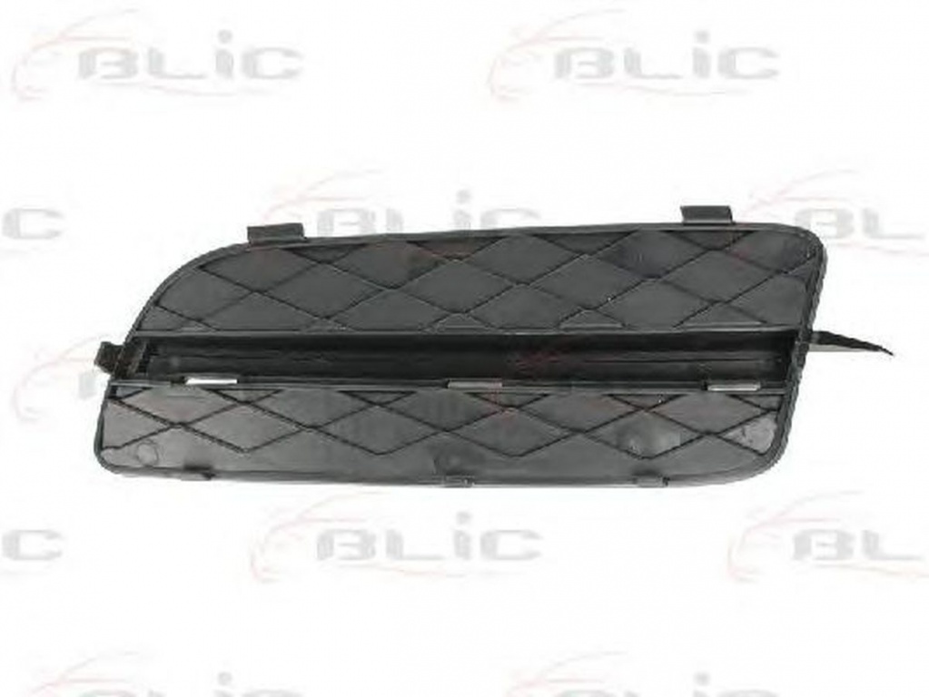Grila bara BMW X5 E70 BLIC 6502070096996P