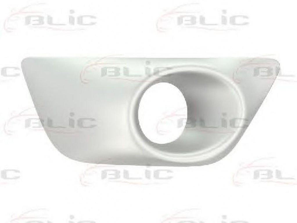 Grila bara DACIA SANDERO II BLIC 6502071303920P