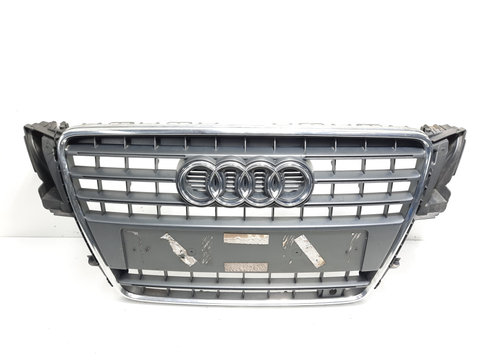 Grila bara fata centrala cu sigla, cod 8T0853651E, Audi A5 Sportback (8TA) (id:493712)