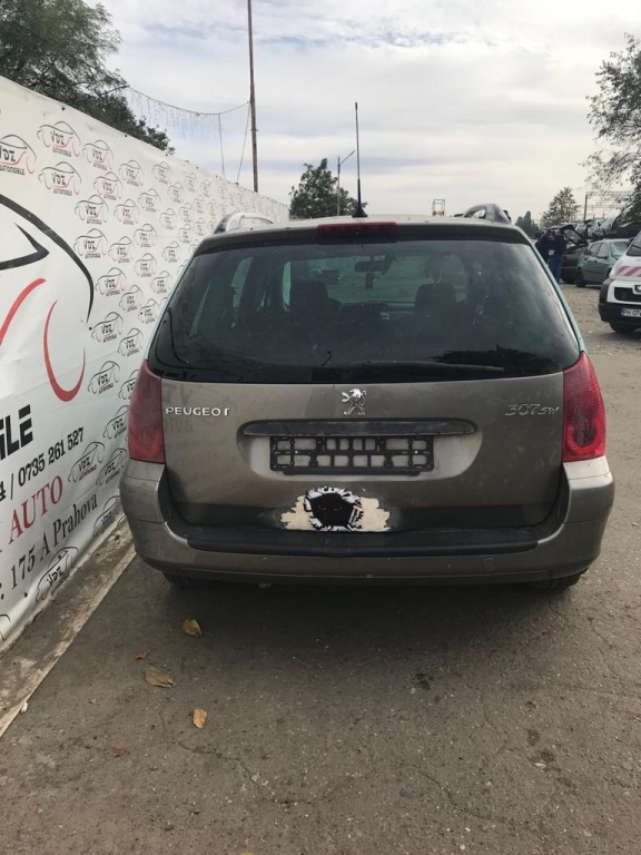 Grila bara fata Peugeot 307 2004 SW 2.0