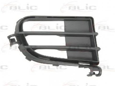 Grila bara FIAT IDEA 350 BLIC 6502072032916P