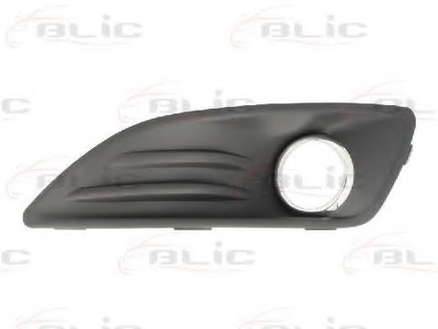 Grila bara FORD FIESTA VI (2008 - 2016) BLIC 6509-01-2565915Q