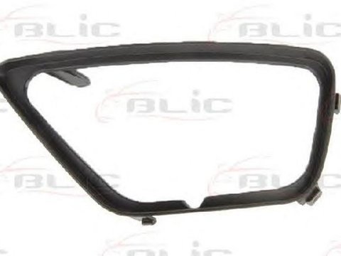 Grila bara FORD FOCUS combi DNW BLIC 5410012532907P