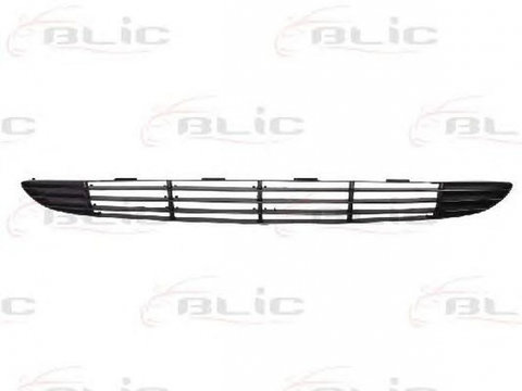 Grila bara FORD FOCUS combi DNW BLIC 6502072532992P PieseDeTop