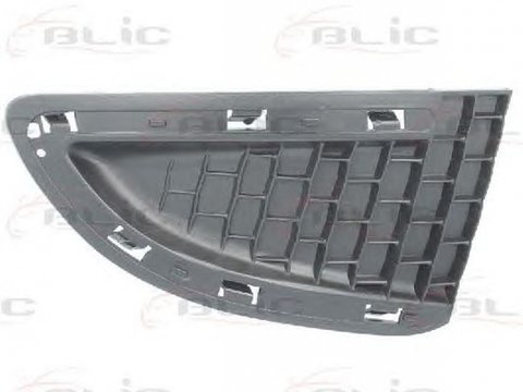 Grila bara LANCIA YPSILON 312 846 BLIC 6502073332916P