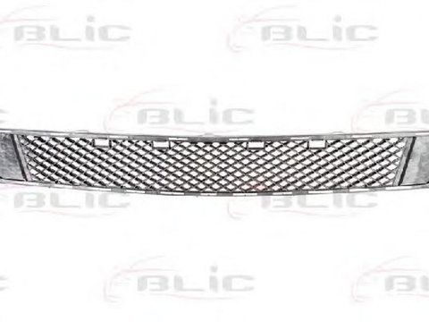 Grila bara MERCEDES-BENZ C-CLASS T-Model S204 BLIC 6502073518910P