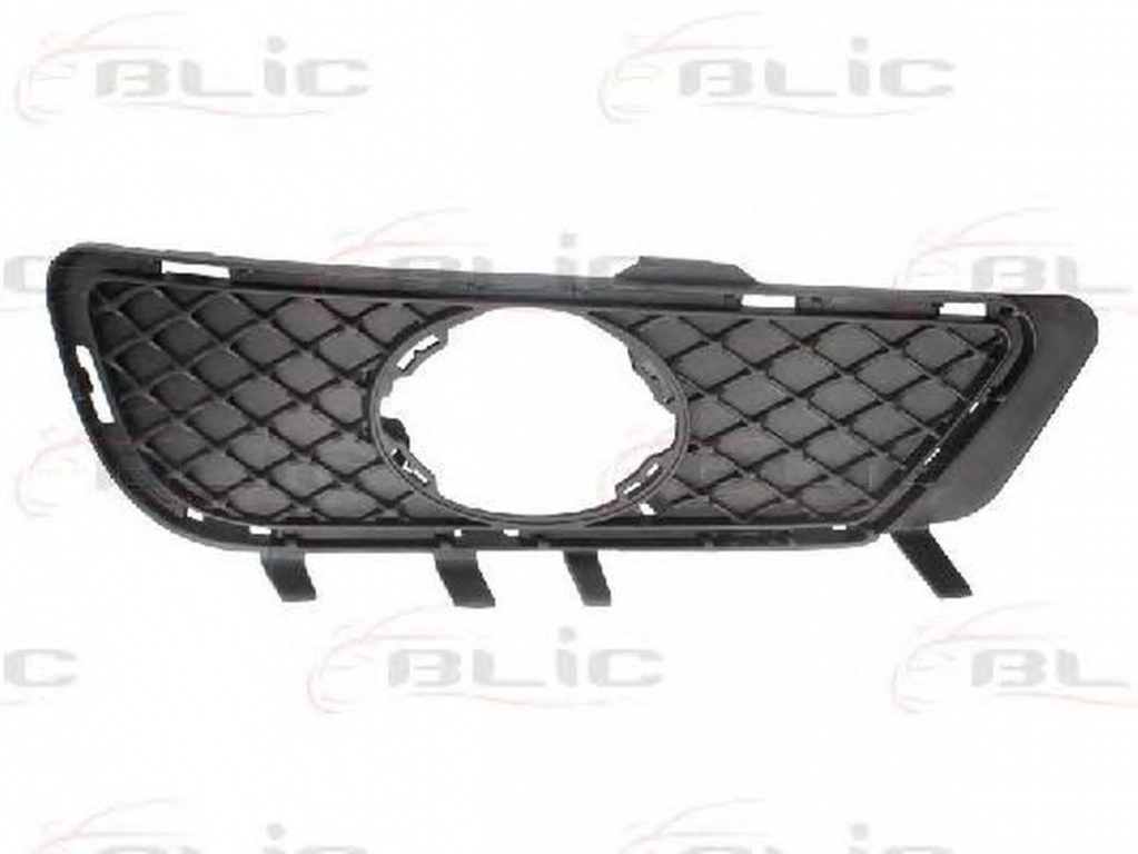 Grila bara MERCEDES-BENZ E-CLASS T-Model S212 BLIC 6502073529917P