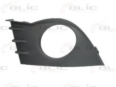 Grila bara RENAULT CLIO Grandtour (KR0/1_) (2008 - 2016) BLIC 5703-05-6033914P