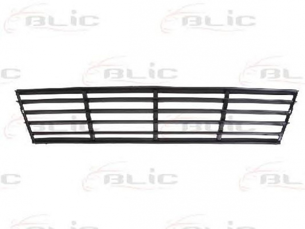 Grila bara SEAT IBIZA IV 6L1 BLIC 6502076609995P