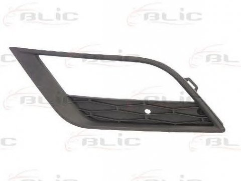 Grila bara SEAT IBIZA V 6J5 6P1 BLIC 6502076621915P