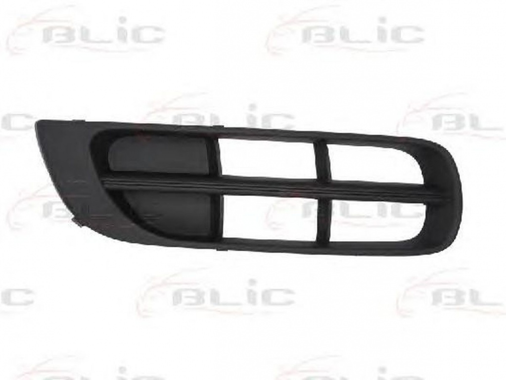 Grila bara SKODA ROOMSTER 5J BLIC 5703057515912P