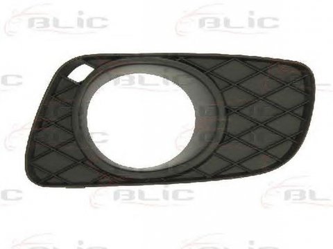 Grila bara SMART FORTWO Cabrio 451 BLIC 5512003502918P