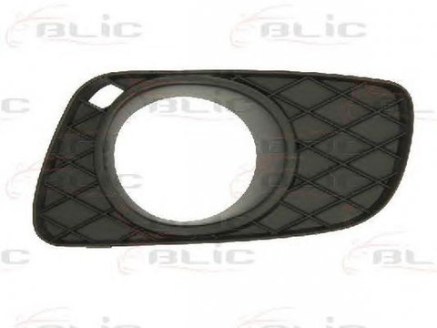 Grila bara SMART FORTWO cupe 451 BLIC 5512003502917P PieseDeTop