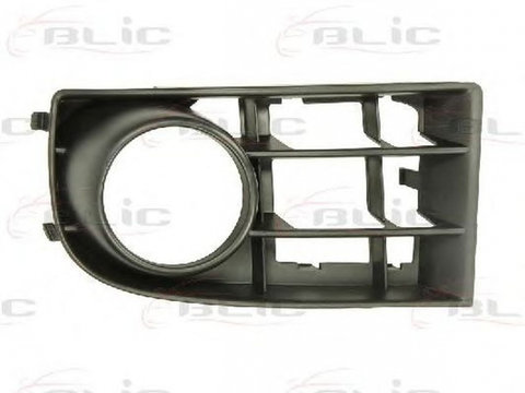 Grila bara VW GOLF V 1K1 BLIC 6502079524917P PieseDeTop