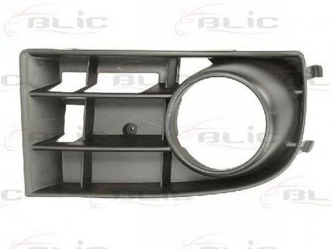 Grila bara VW GOLF V 1K1 BLIC 6502079524918P PieseDeTop