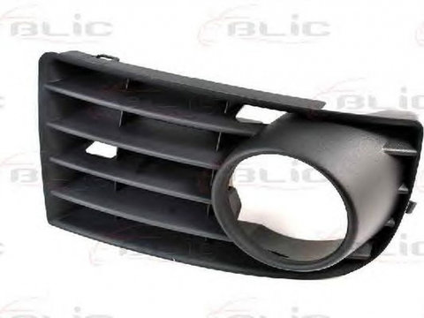 Grila bara VW GOLF V 1K1 BLIC 6502079524996P PieseDeTop