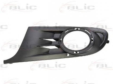 Grila bara VW GOLF VI 5K1 BLIC 6502079534915PP PieseDeTop