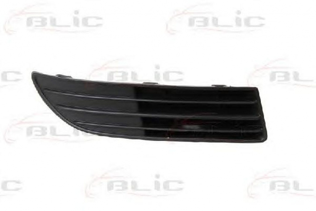 Grila bara VW POLO 9N BLIC 6509019506996P PieseDeTop