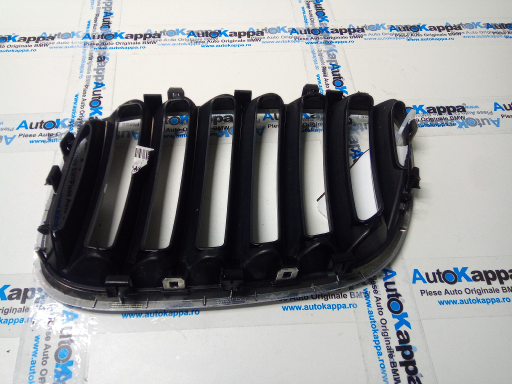Grila centrala fata dr Bmw X5 (e53 ) an 