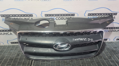 Grila fata Hyundai Santa Fe 2 2006 - 200