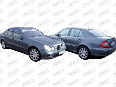 Grila proiector ceata MERCEDES-BENZ E-CLASS W211 PRASCO ME0411242