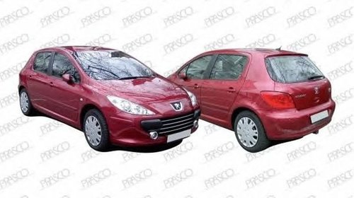 Grila proiector ceata PEUGEOT 307 3A C P