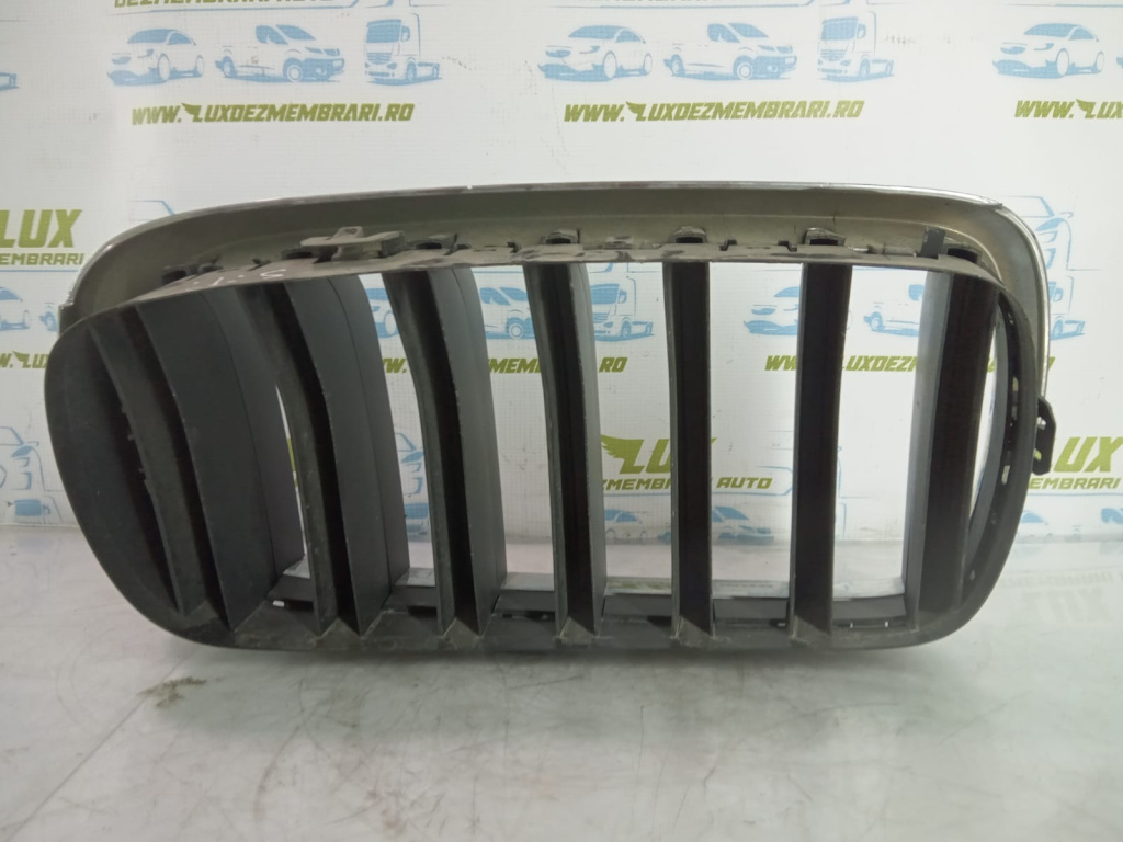 Grila radiatoare bara fata stanga BMW X6