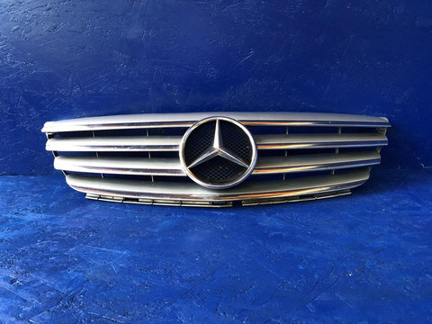 Grila radiatoare Mercedes B Class W245 2008