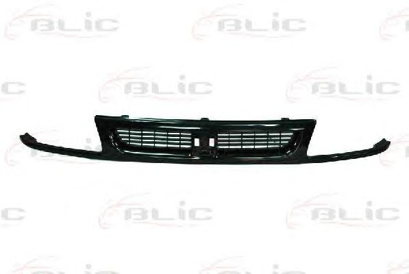 Grila radiator (6502076607990P BLIC) SEAT