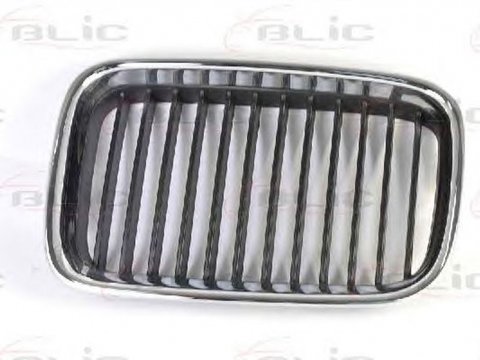 Grila radiator BMW 3 E36 BLIC 6502070060991P