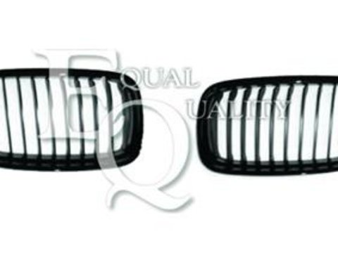 Grila radiator BMW 3 limuzina (E90), BMW 3 Touring (E91) - EQUAL QUALITY G1567