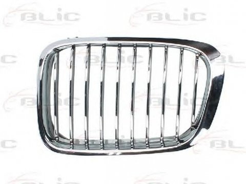 Grila radiator BMW 3 Touring E46 BLIC 6502070061991P