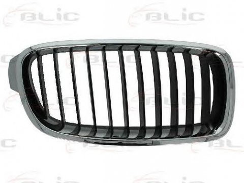 Grila radiator BMW 3 Touring F31 BLIC 6502070063992P