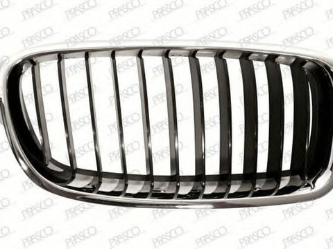 Grila radiator BMW 3 Touring F31 PRASCO BM0282003