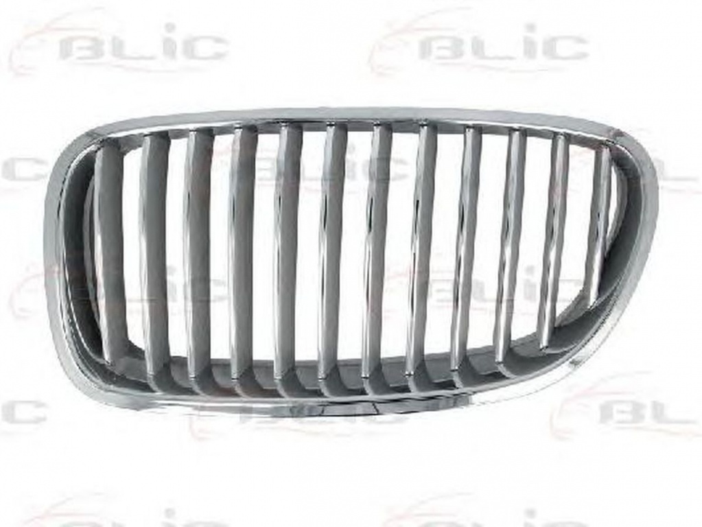 Grila radiator BMW 5 Touring F11 BLIC 6502070067996P