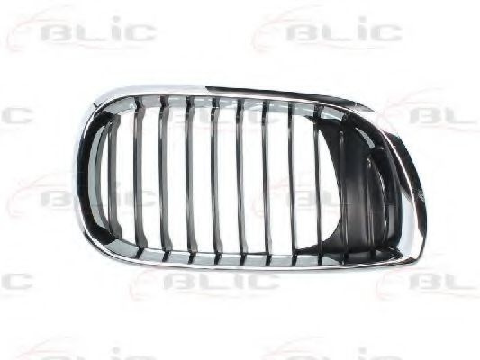Grila radiator BMW Seria 3 Touring (E46) (1999 - 2005) BLIC 6502-07-0061992AP