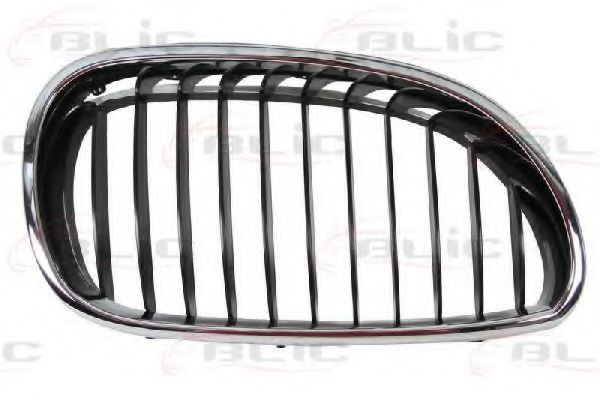 Grila radiator BMW Seria 5 (E60) (2003 - 2010) BLI