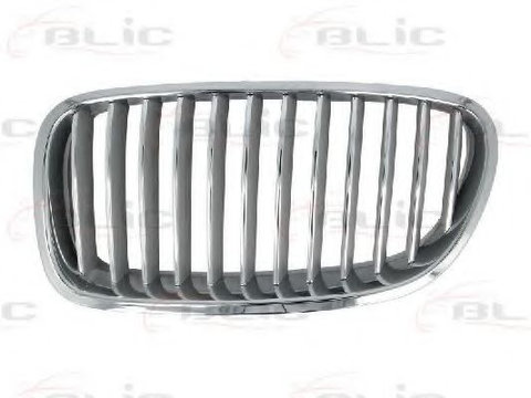 Grila radiator BMW Seria 5 Touring (F11) (2010 - 2016) BLIC 6502-07-0067996P