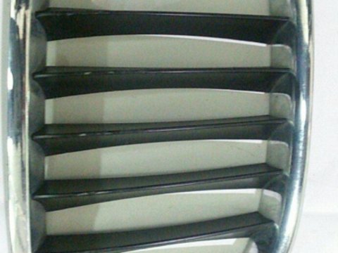 Grila radiator,Bmw x1-E84