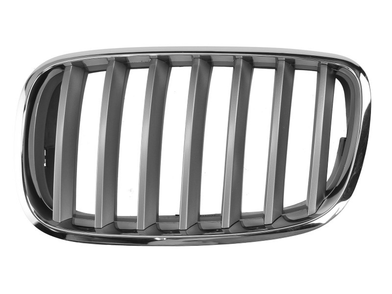 Grila radiator BMW X6 (E71, E72) (2008 - 2014) BLIC 6502-07-0096991PP piesa NOUA