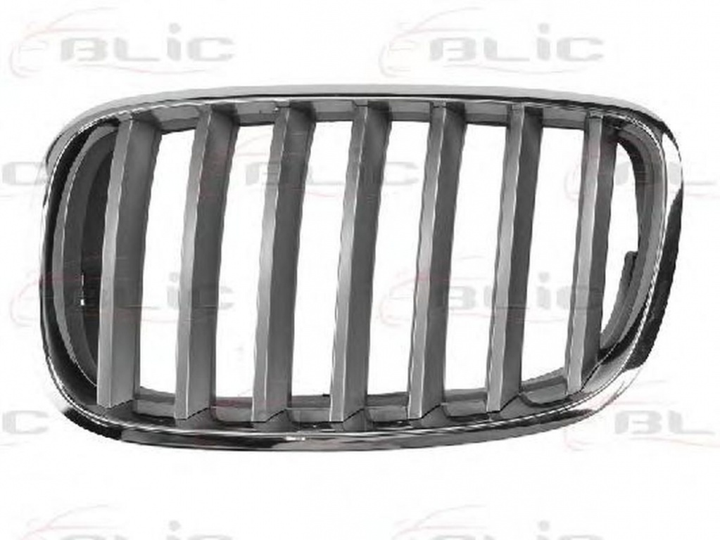 Grila radiator BMW X6 E71 E72 BLIC 6502070096991PP PieseDeTop