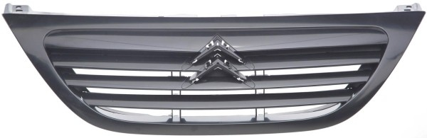 Grila radiator CITROEN C3 I (FC) (2002 - 2016) PRA