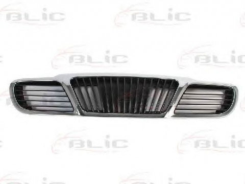 Grila radiator DAEWOO LANOS KLAT BLIC 6502071106990P PieseDeTop